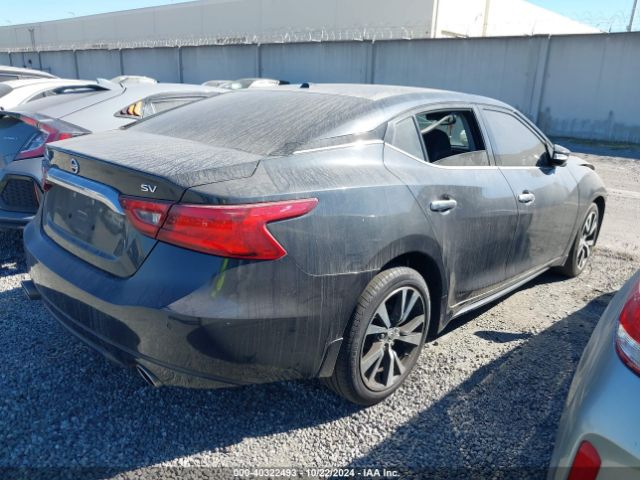 1N4AA6AP3HC430749 Nissan Maxima 3.5 Sv