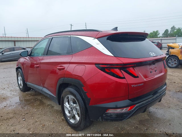 Hyundai TUCSON SEL 2024 5NMJB3DE7RH407638 Image 3