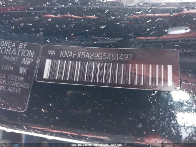 KNAFX5A89G5491492 KIA FORTE EX