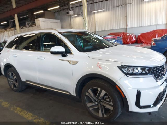 KNDRHDLG0P5189570 KIA Sorento Hybrid Ex