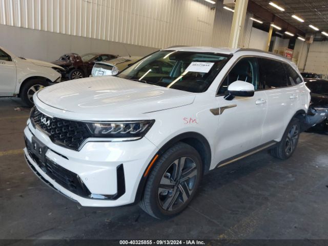 KNDRHDLG0P5189570 KIA Sorento Hybrid Ex