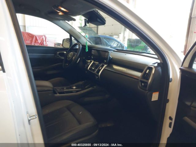 KNDRHDLG0P5189570 KIA Sorento Hybrid Ex