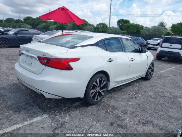 1N4AA6AP1HC415344 Nissan Maxima 3.5 Sv