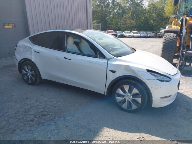 2021 TESLA MODEL Y 5YJYGDEE4MF069176 Photo 0
