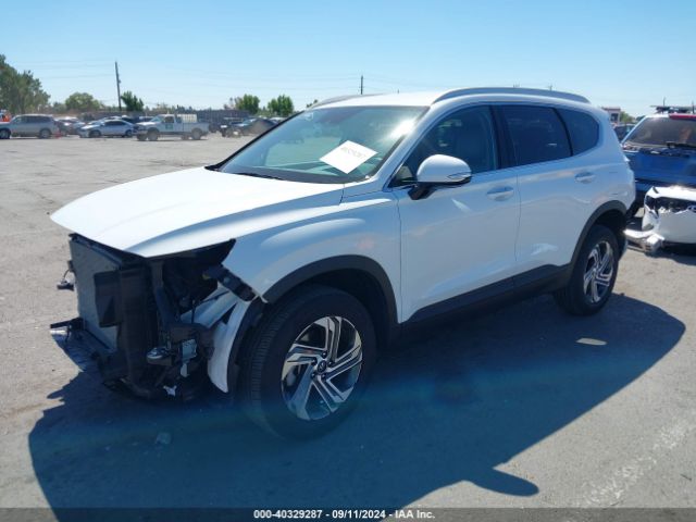 5NMS2DAJ2PH649794 Hyundai Santa Fe Sel