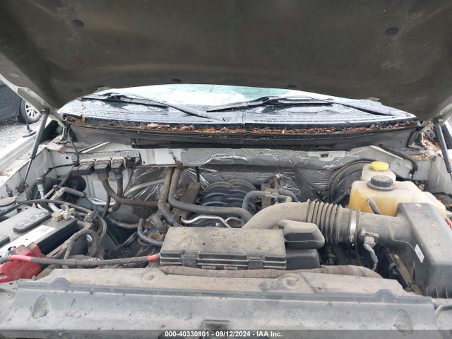 Ford F-150 Xlt 2014 1FTFW1CF0EKF42810 Image 10