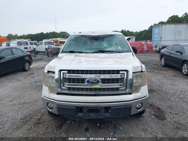 Ford F-150 Xlt 2014 1FTFW1CF0EKF42810 Image 12