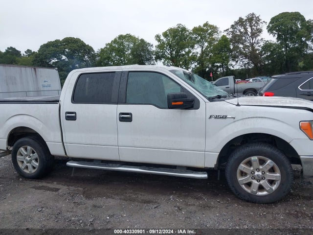 Ford F-150 Xlt 2014 1FTFW1CF0EKF42810 Image 13