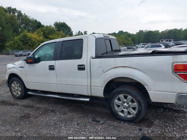 Ford F-150 Xlt 2014 1FTFW1CF0EKF42810 Image 14
