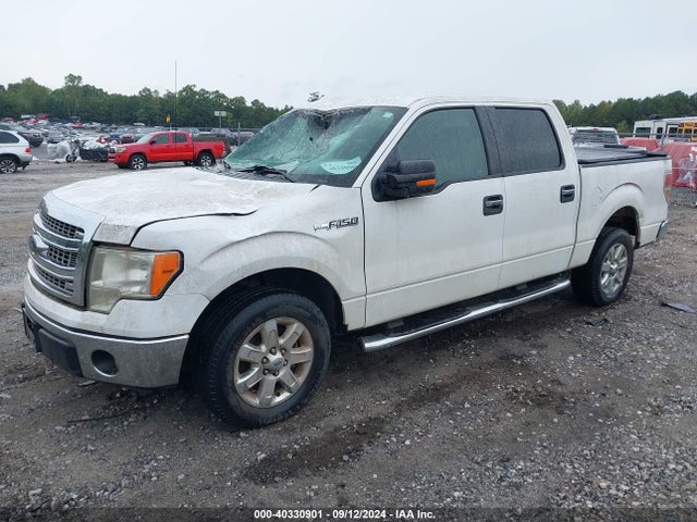 Ford F-150 Xlt 2014 1FTFW1CF0EKF42810 Image 2