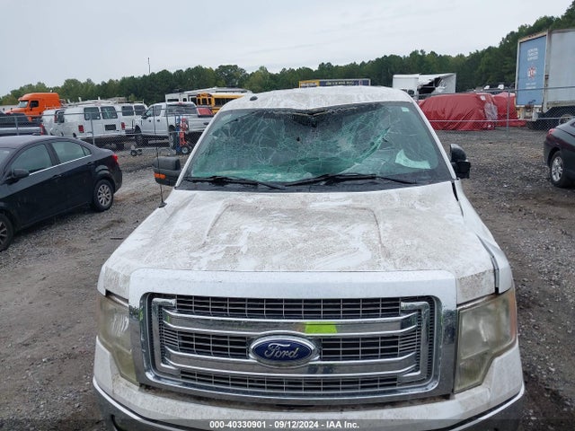 Ford F-150 Xlt 2014 1FTFW1CF0EKF42810 Image 6