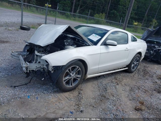 2013 FORD MUSTANG 1ZVBP8AM8D5260415 Photo 1