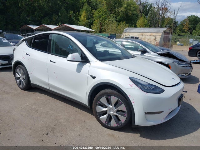 2021 TESLA MODEL Y 5YJYGDEE8MF191541 Photo 0