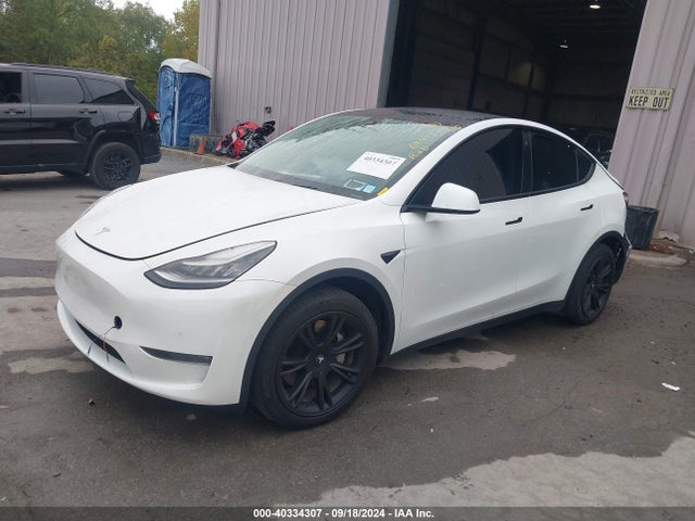 2020 TESLA MODEL Y 5YJYGDEE2LF055808 Photo 1