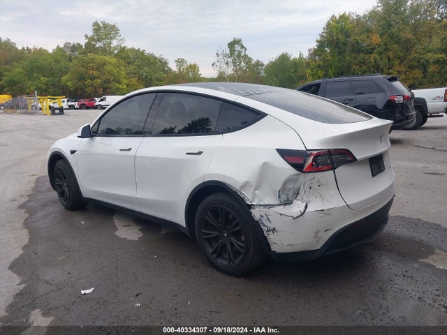 2020 TESLA MODEL Y 5YJYGDEE2LF055808 Photo 2
