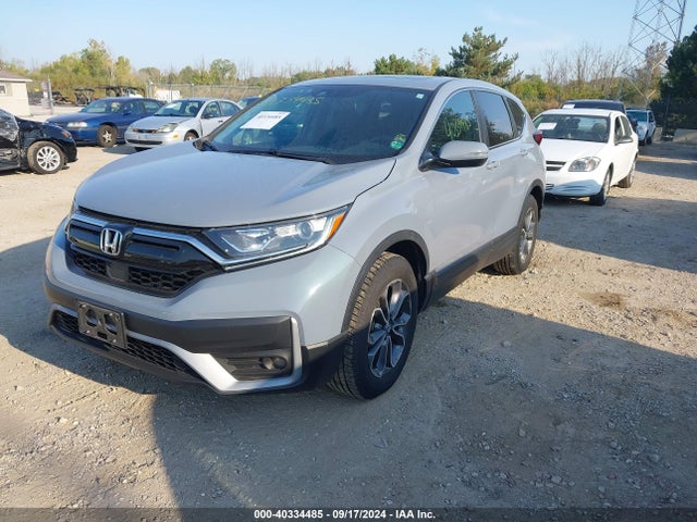 Honda Cr-v Awd Ex 2020 5J6RW2H56LL009882 Image 2