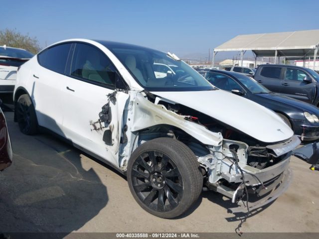 2022 TESLA MODEL Y 7SAYGAEE4NF543758 Photo 0