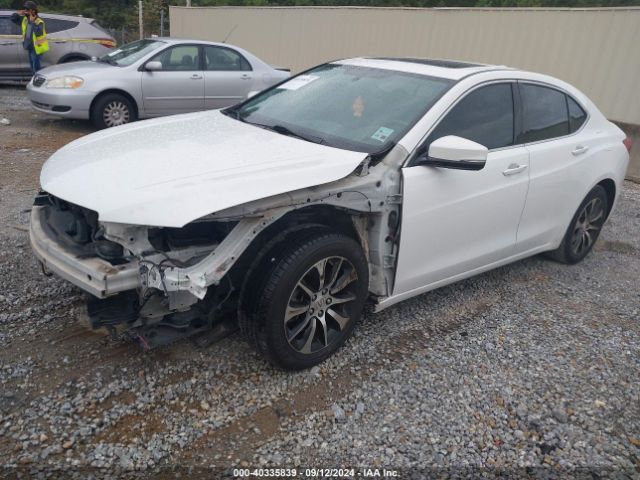 19UUB1F33FA024171 Acura TLX