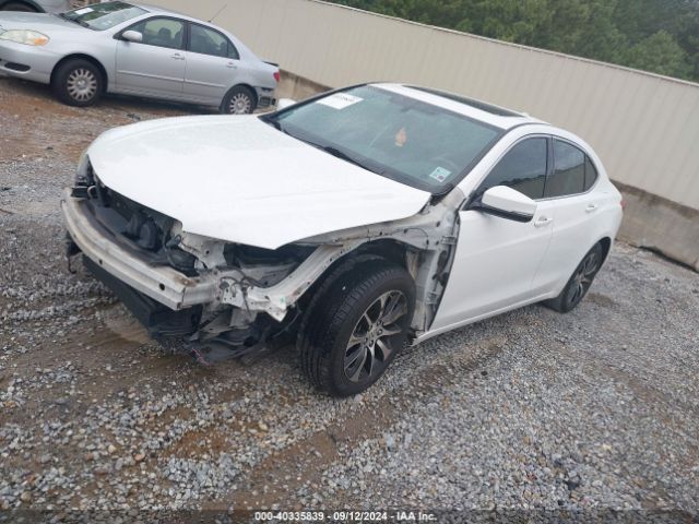 19UUB1F33FA024171 Acura TLX