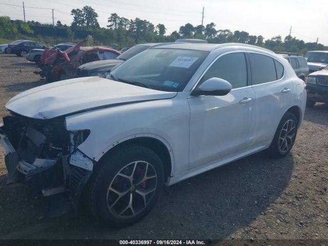 2020 ALFA ROMEO STELVIO ZASPAKBN7L7C89610 Photo 1