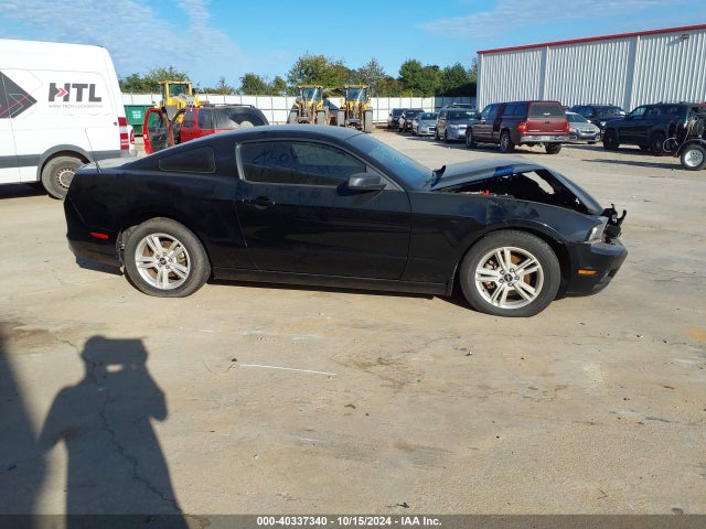 Ford Mustang V6 2014 1ZVBP8AM2E5334705 Image 14