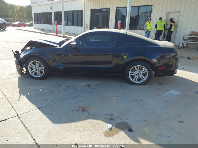 Ford Mustang V6 2014 1ZVBP8AM2E5334705 Image 15