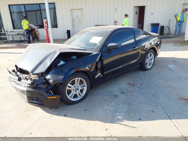 1ZVBP8AM2E5334705 Ford Mustang V6