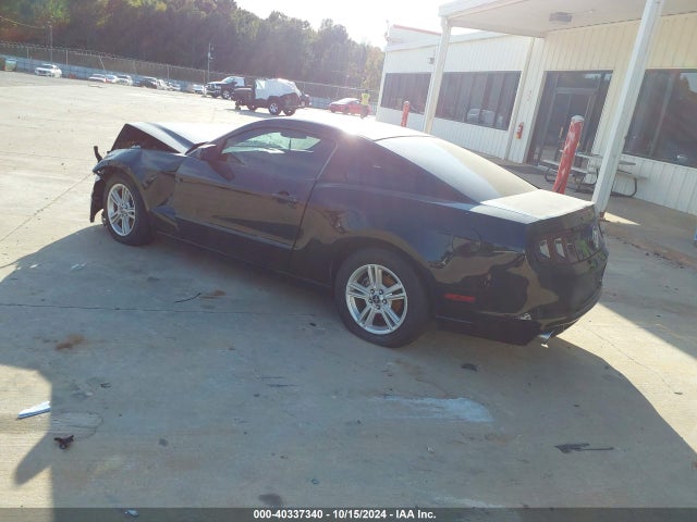 1ZVBP8AM2E5334705 Ford Mustang V6