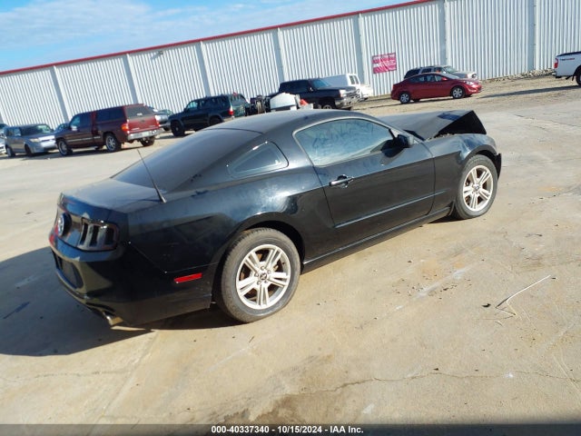 1ZVBP8AM2E5334705 Ford Mustang V6