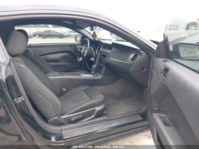 1ZVBP8AM2E5334705 Ford Mustang V6