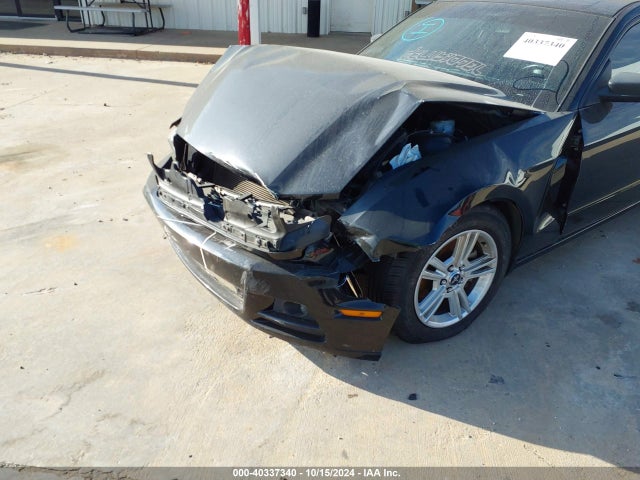1ZVBP8AM2E5334705 Ford Mustang V6