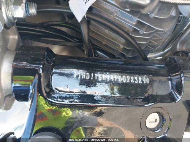 2023 HARLEY-DAVIDSON FLFBS 1HD1YGK14PB028389 Photo 9