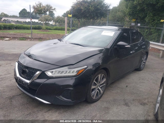 Nissan Maxima 3.5 Sl 2019 1N4AA6AV3KC363074 Image 2