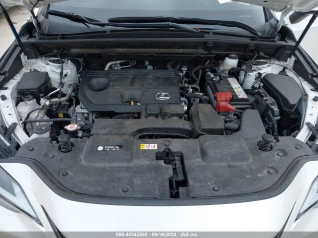 JTJADCAZ3P5011186 Lexus NX 250