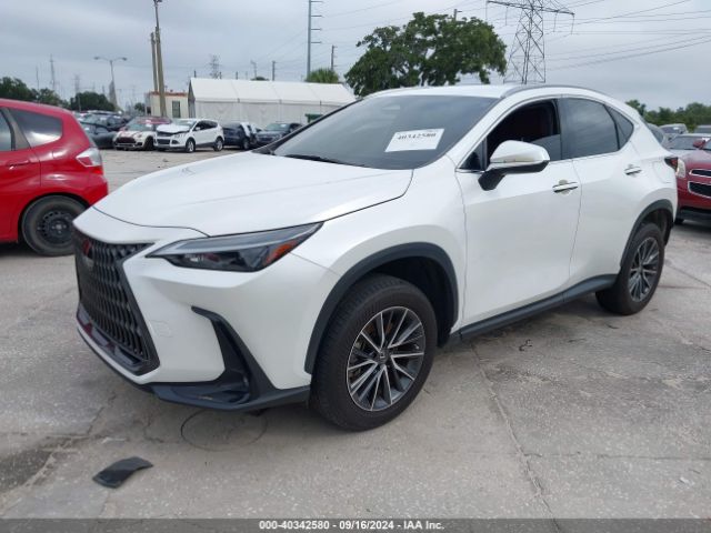 JTJADCAZ3P5011186 Lexus NX 250