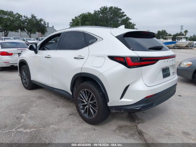 JTJADCAZ3P5011186 Lexus NX 250