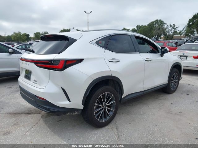 JTJADCAZ3P5011186 Lexus NX 250
