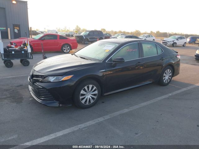 4T1C31AKXLU535680 Toyota Camry Le Hybrid
