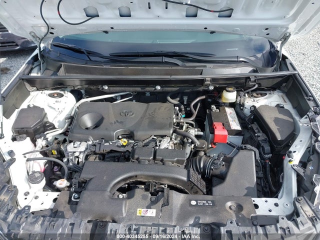 Toyota Rav4 Limited 2019 JTMN1RFV0KD017175 Image 10