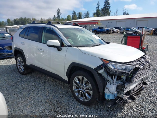 Toyota Rav4 Limited 2019 JTMN1RFV0KD017175 Image 14