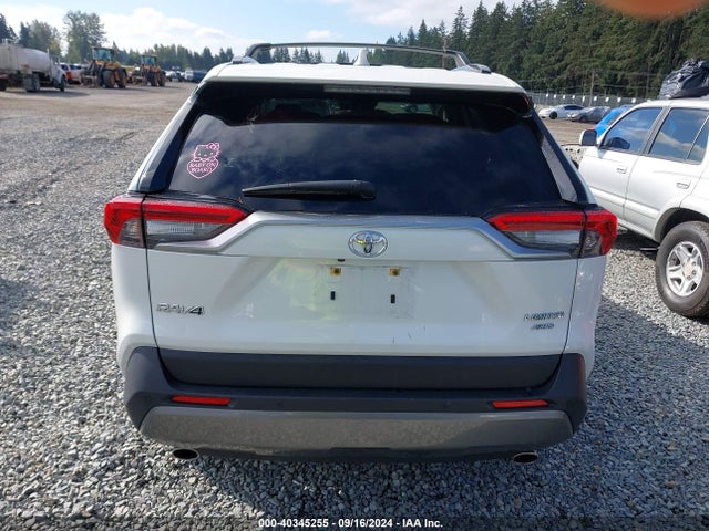 Toyota Rav4 Limited 2019 JTMN1RFV0KD017175 Image 17