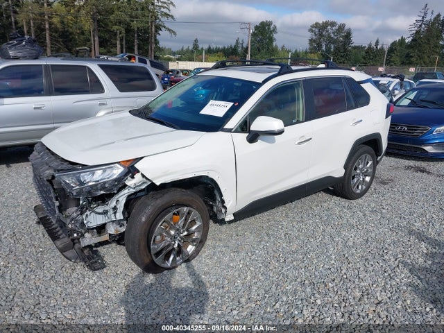 Toyota Rav4 Limited 2019 JTMN1RFV0KD017175 Image 2