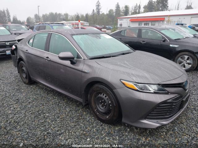 4T1C31AK1LU531730 Toyota Camry Le Hybrid
