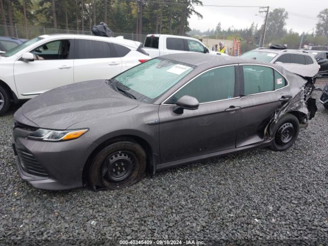 4T1C31AK1LU531730 Toyota Camry Le Hybrid