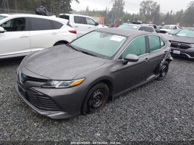 4T1C31AK1LU531730 Toyota Camry Le Hybrid