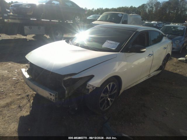 1N4AA6AP8HC371147 Nissan Maxima 3.5 Sl