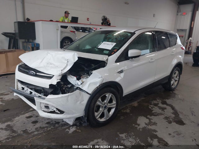 Ford ESCAPE SE 2015 1FMCU0GX1FUC06297 Image 2