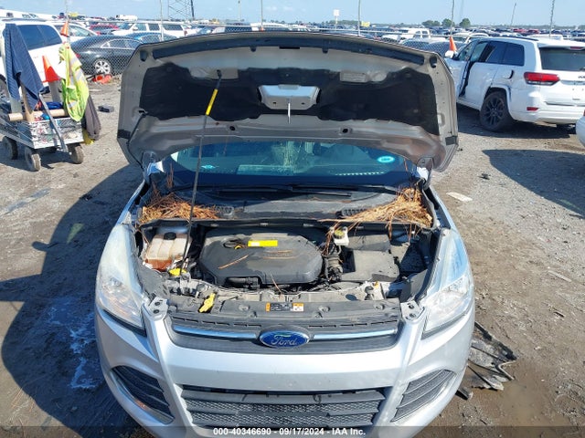 Ford ESCAPE SE 2016 1FMCU0GXXGUA61116 Image 10