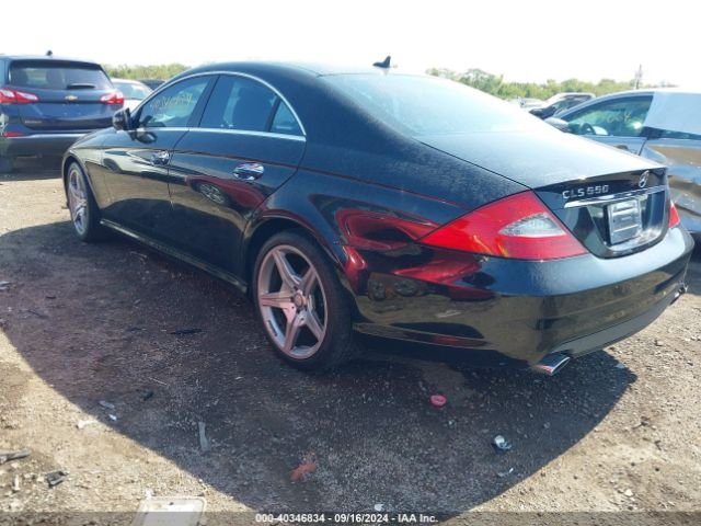 2011 MERCEDES-BENZ CLS 550 WDDDJ7CB4BA168635 Photo 2