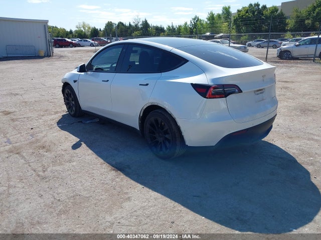 2021 TESLA MODEL Y 5YJYGDEE2MF097784 Photo 2